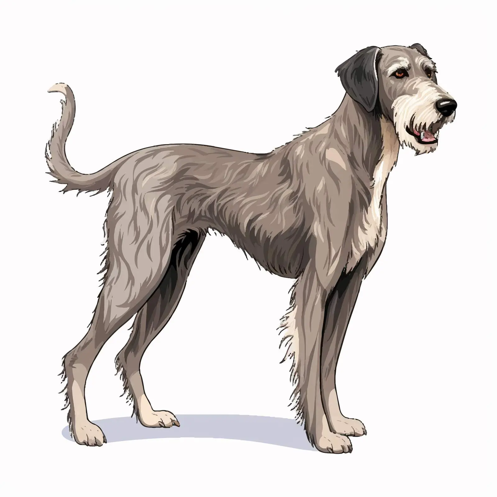 Irish Wolfhound: Majestic Guard and Hunting Dog – free large dog image from Dotvec