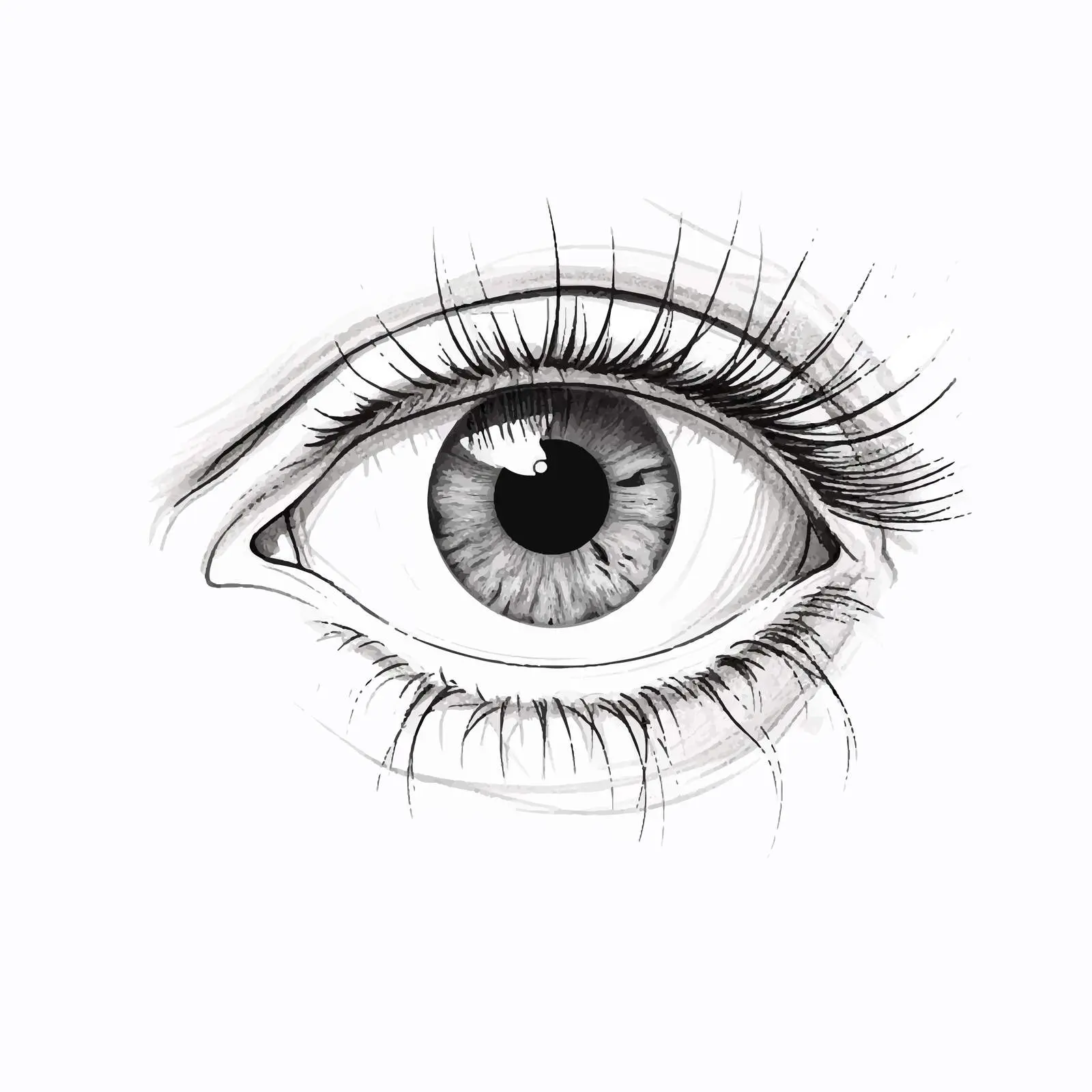 Top View Hand Drawing on White Background — free download from Dotvec