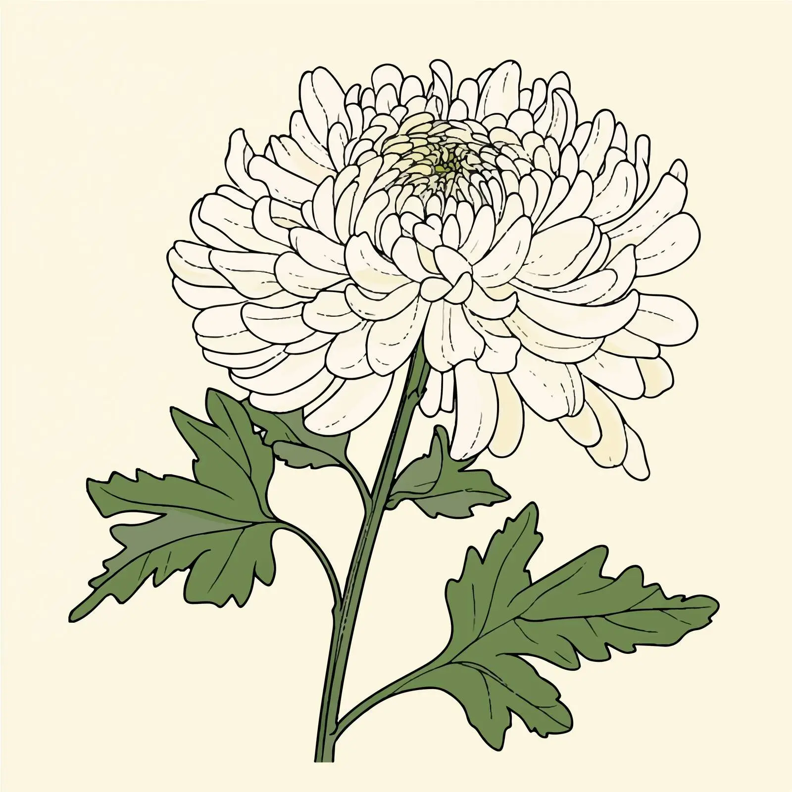 Japanese Chrysanthemum Hand Drawn Illustration — free download from Dotvec