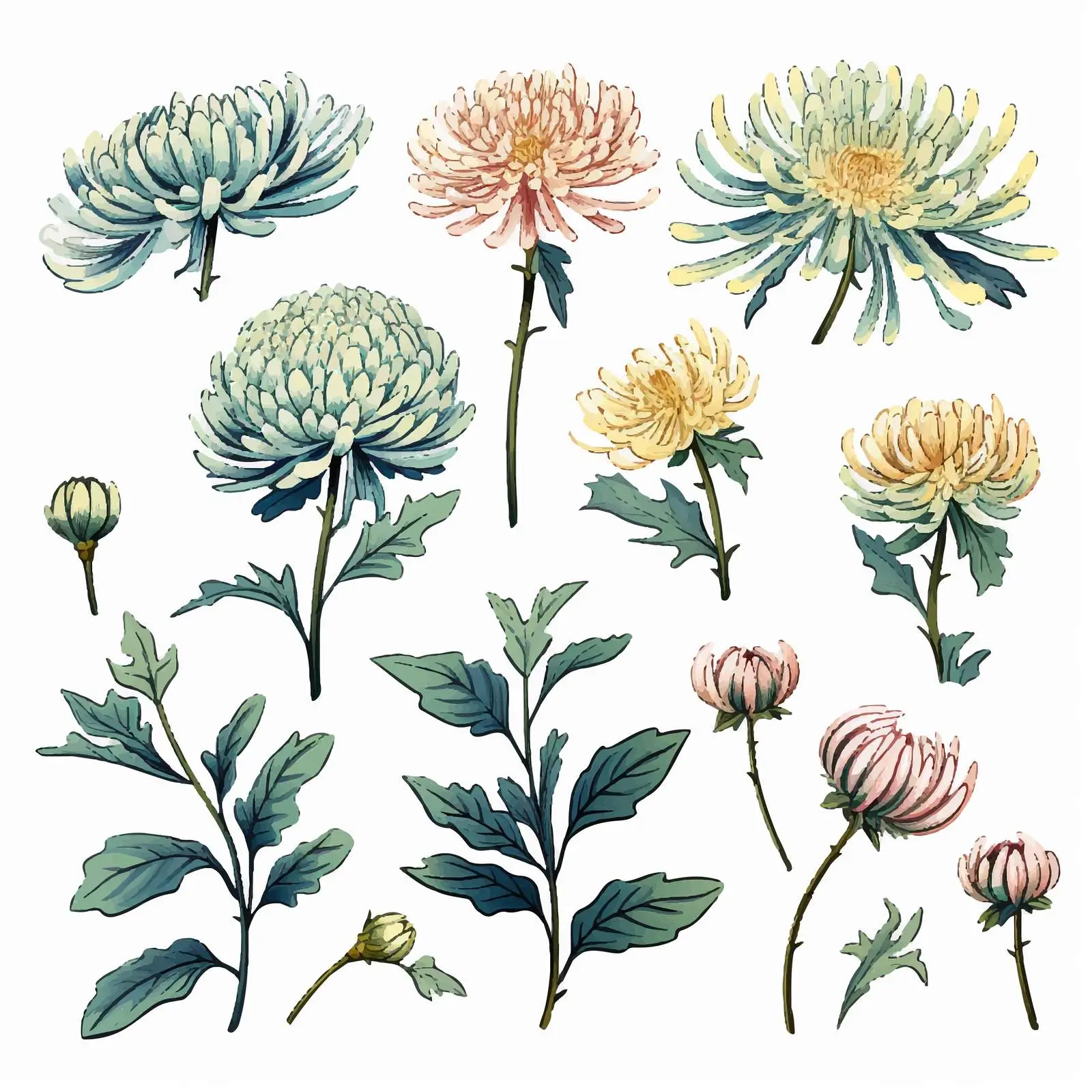 Hand-Drawn Japanese Chrysanthemum Vector Collection — free download from Dotvec