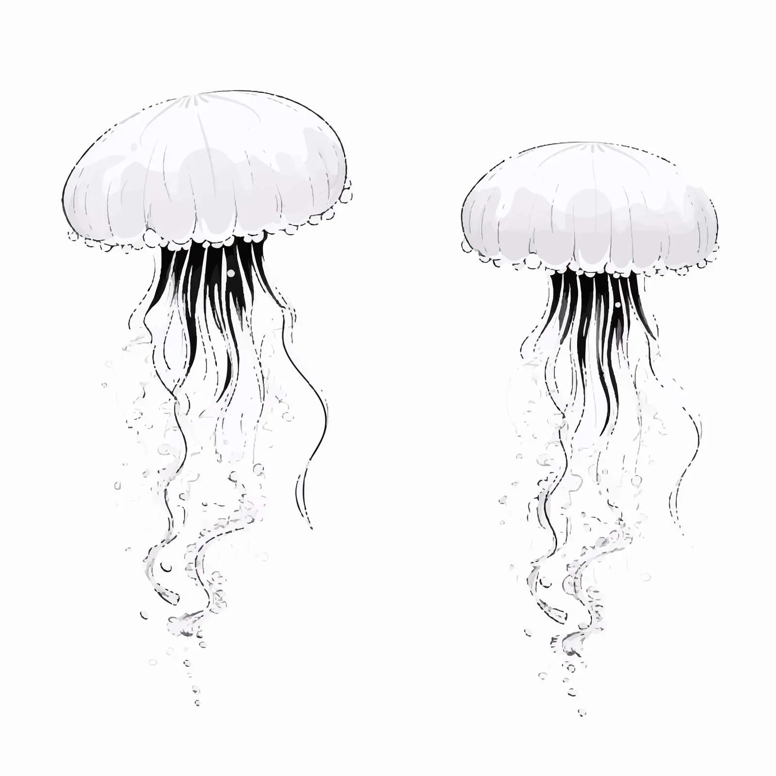Cartoon Jellyfish Vector Illustration — free download from Dotvec