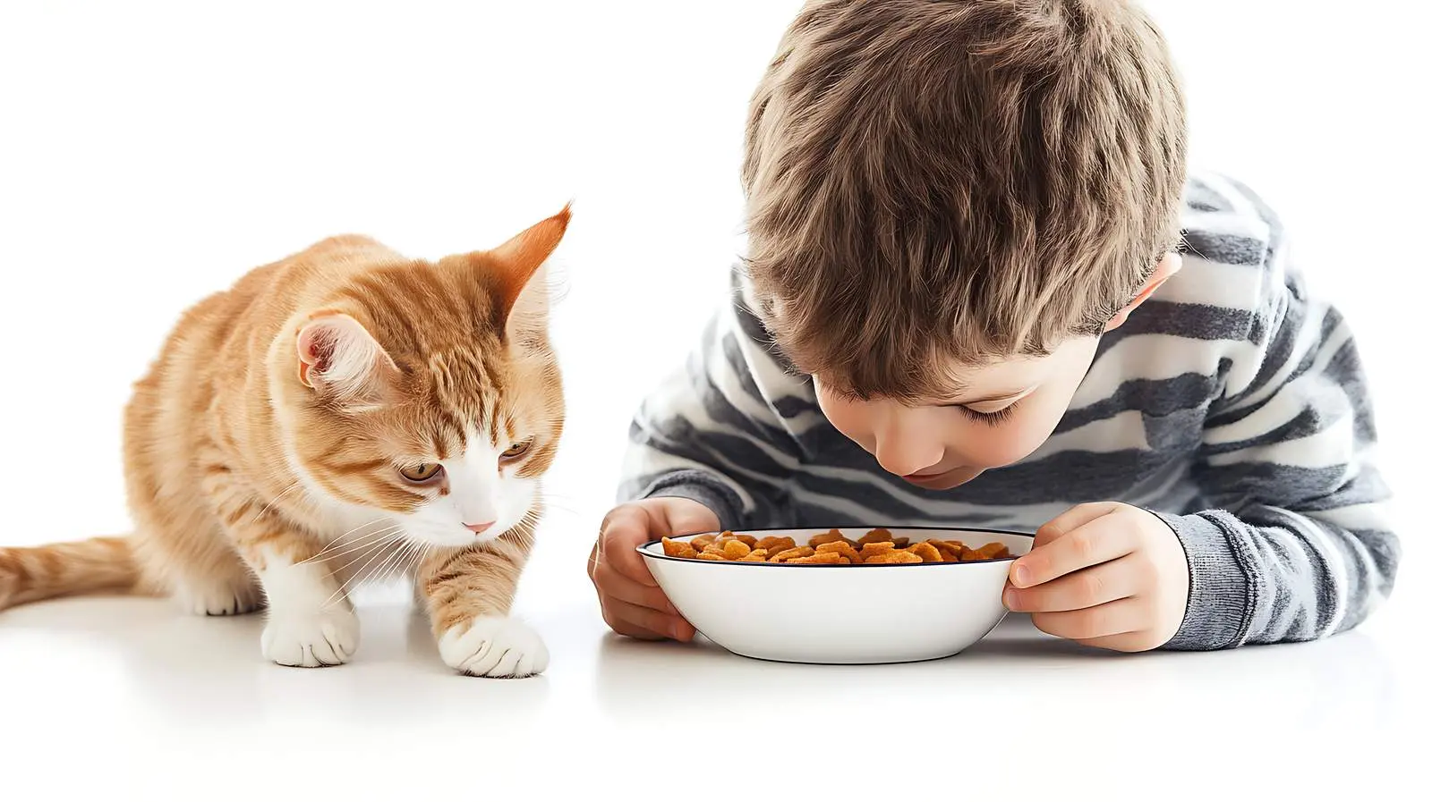 Boy and Cat Sharing Food Bowl — free download from Dotvec