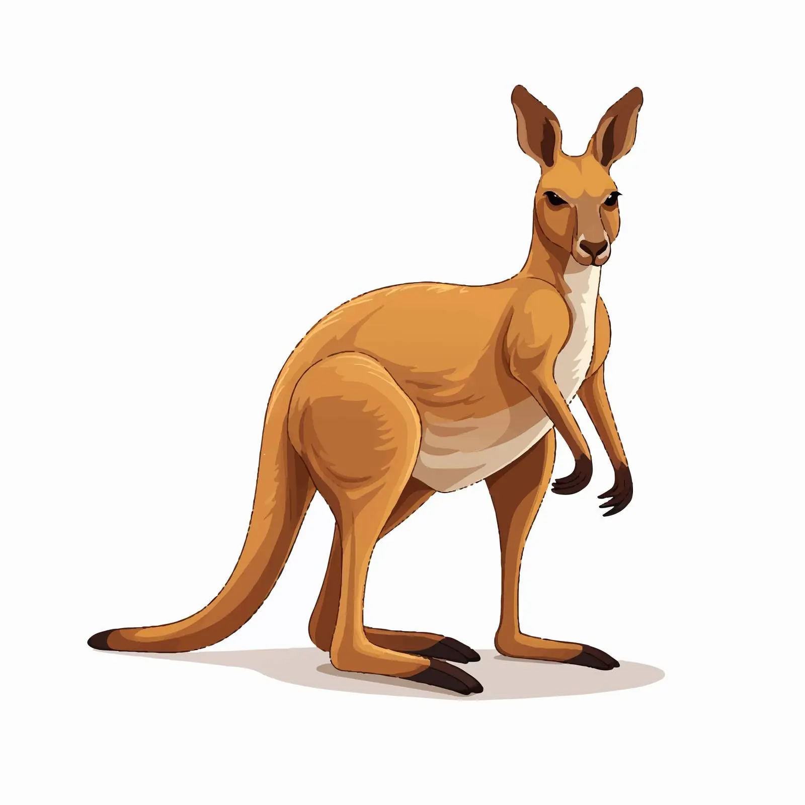Kangaroo Line Art Vector Illustration on White Background – free kangaroo image from Dotvec