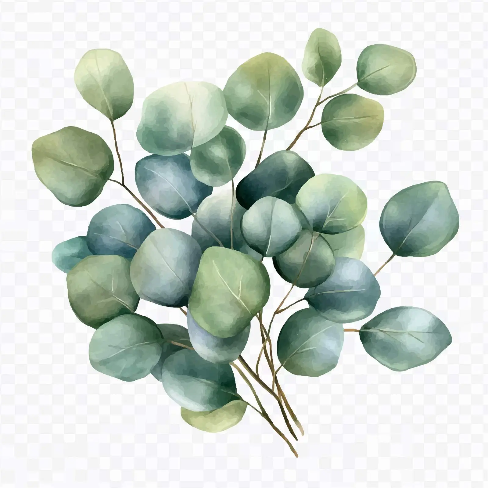 Eucalyptus Leaves Watercolor Bouquet Clipart — free download from Dotvec