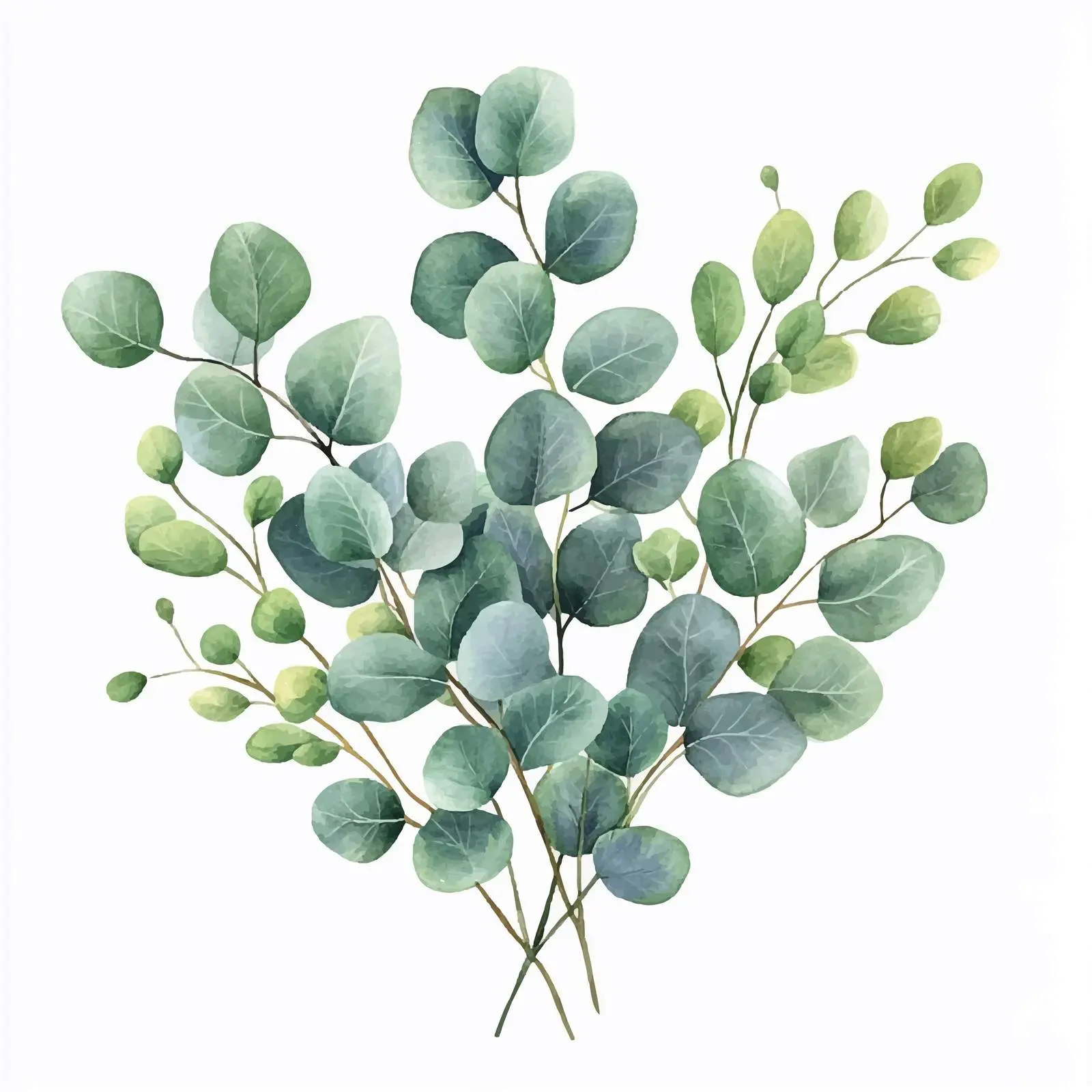 Eucalyptus Leaves Watercolor Bouquet Clipart — free download from Dotvec