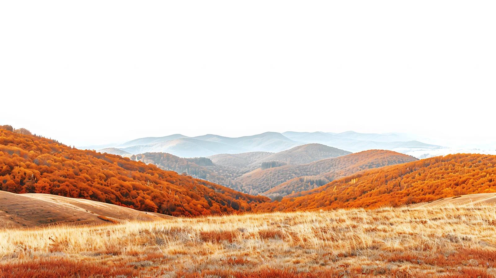 Autumn Landscape of Bieszczady Mountains Isolated — free download from Dotvec