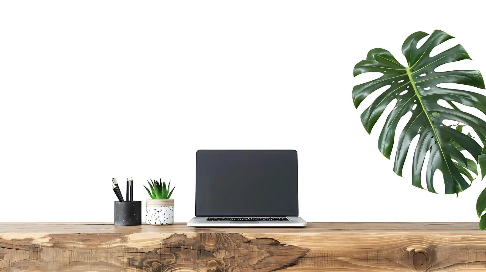 Laptop on Vintage Wooden Console Table with Plants — free download from Dotvec