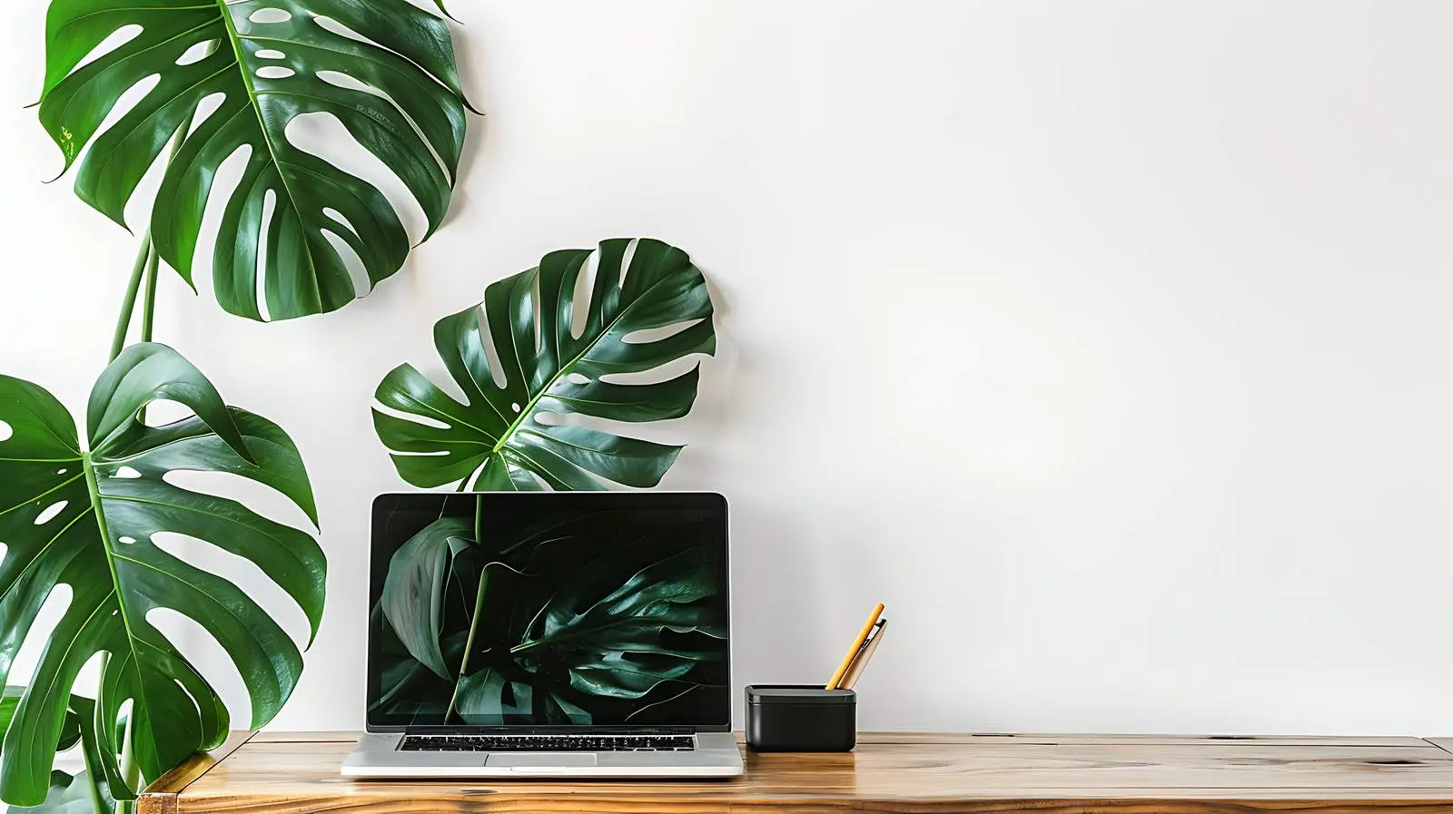 Laptop on Vintage Wooden Table with Tropical Plants — free download from Dotvec