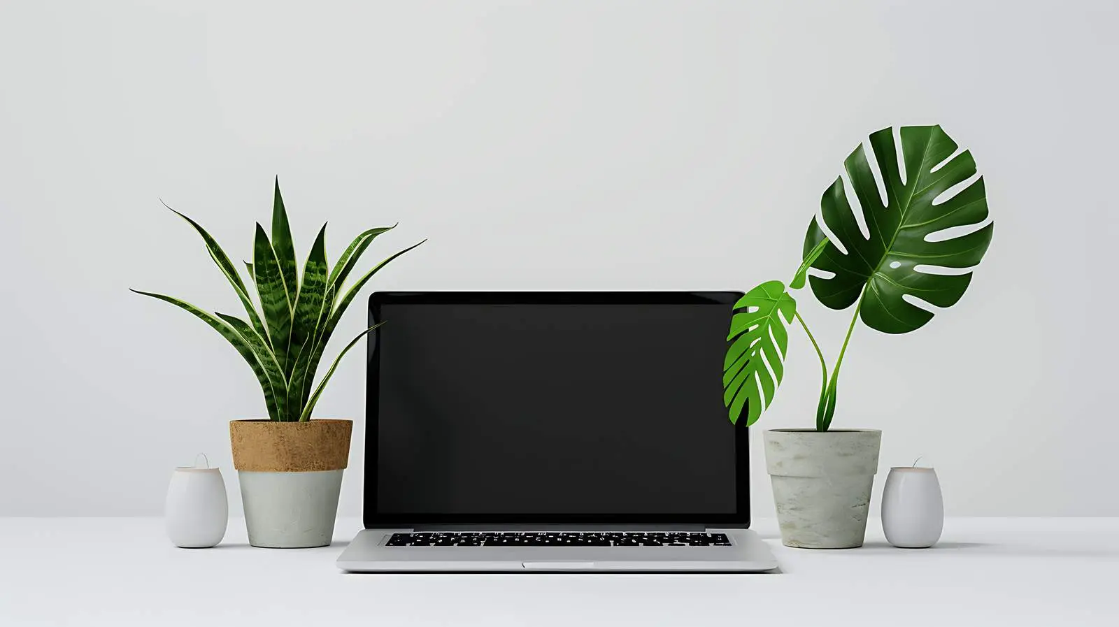 Laptop with Blank Screen and Plants — free download from Dotvec