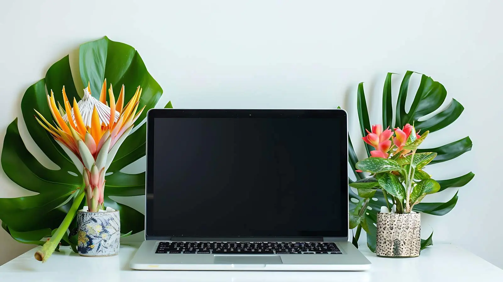 Laptop with Black Screen on Table with Proteus Flower — free download from Dotvec