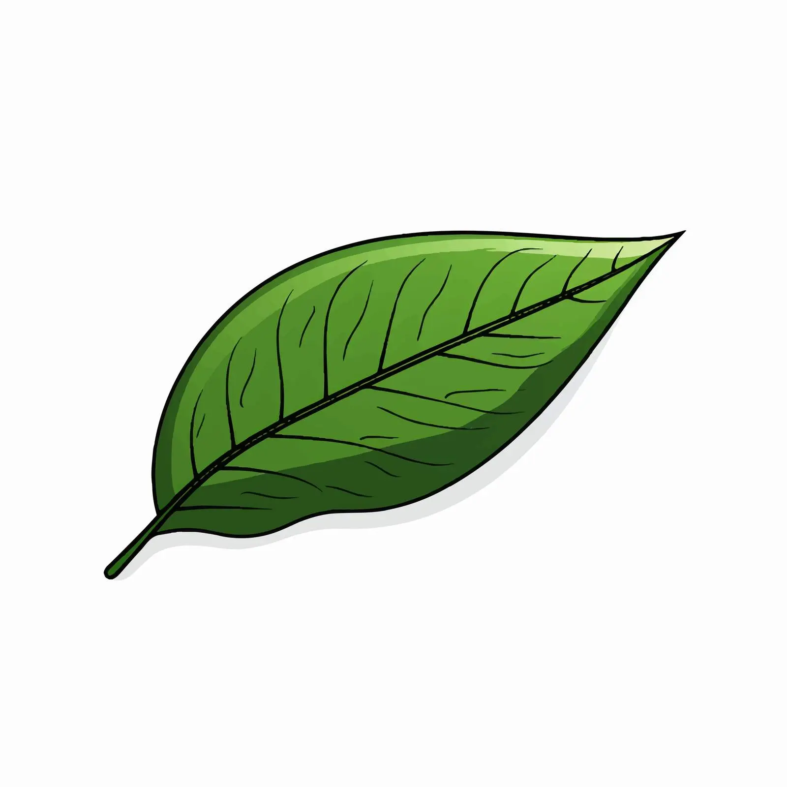 Cartoon Leaf Line Vector Illustration — free download from Dotvec