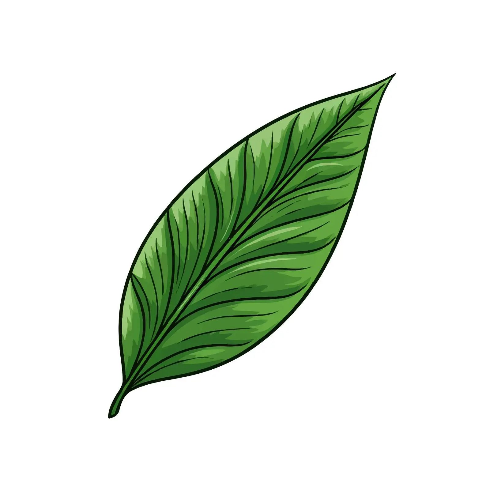 Cartoon Leaf Line Vector Illustration — free download from Dotvec