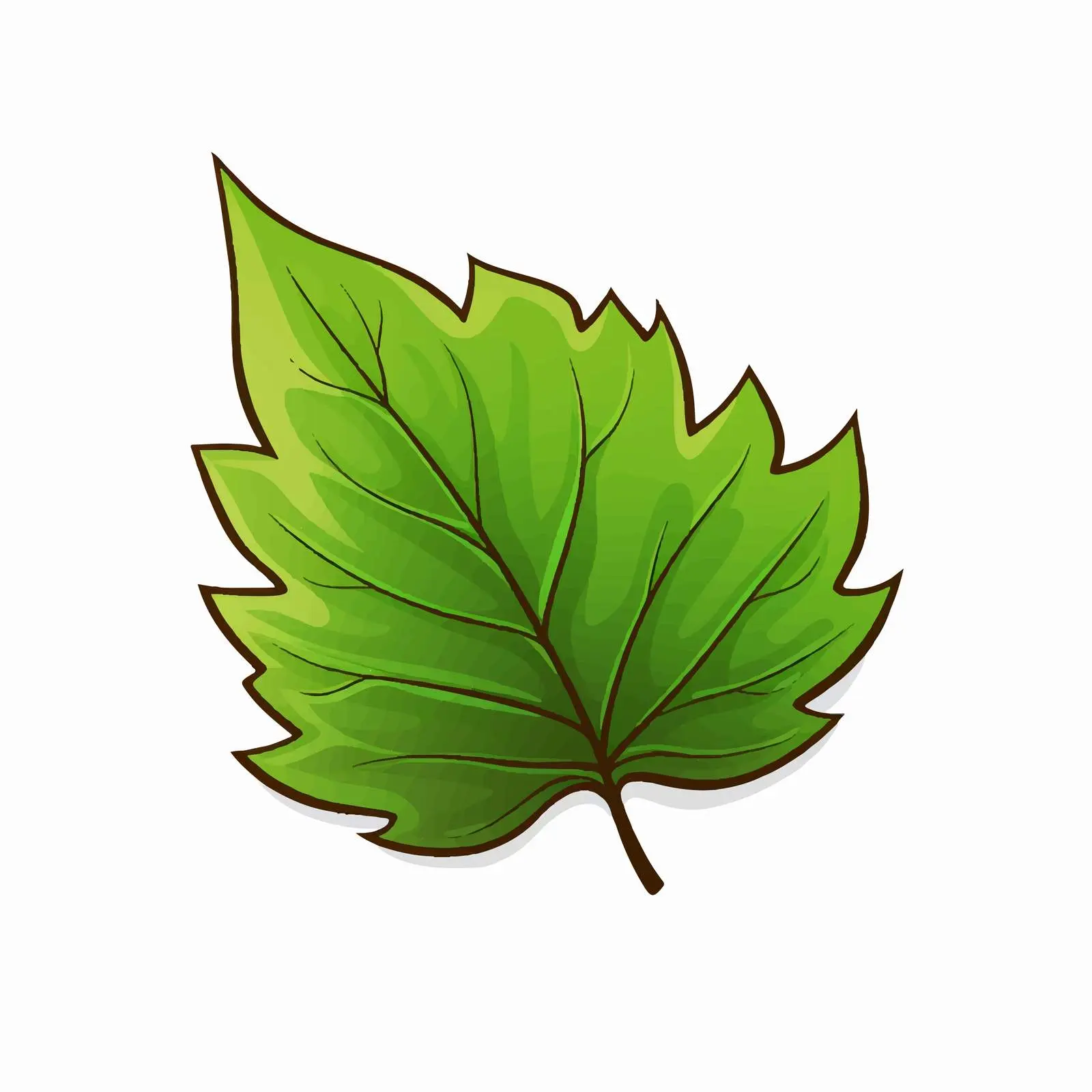 Cartoon Leaf Line Vector Illustration — free download from Dotvec