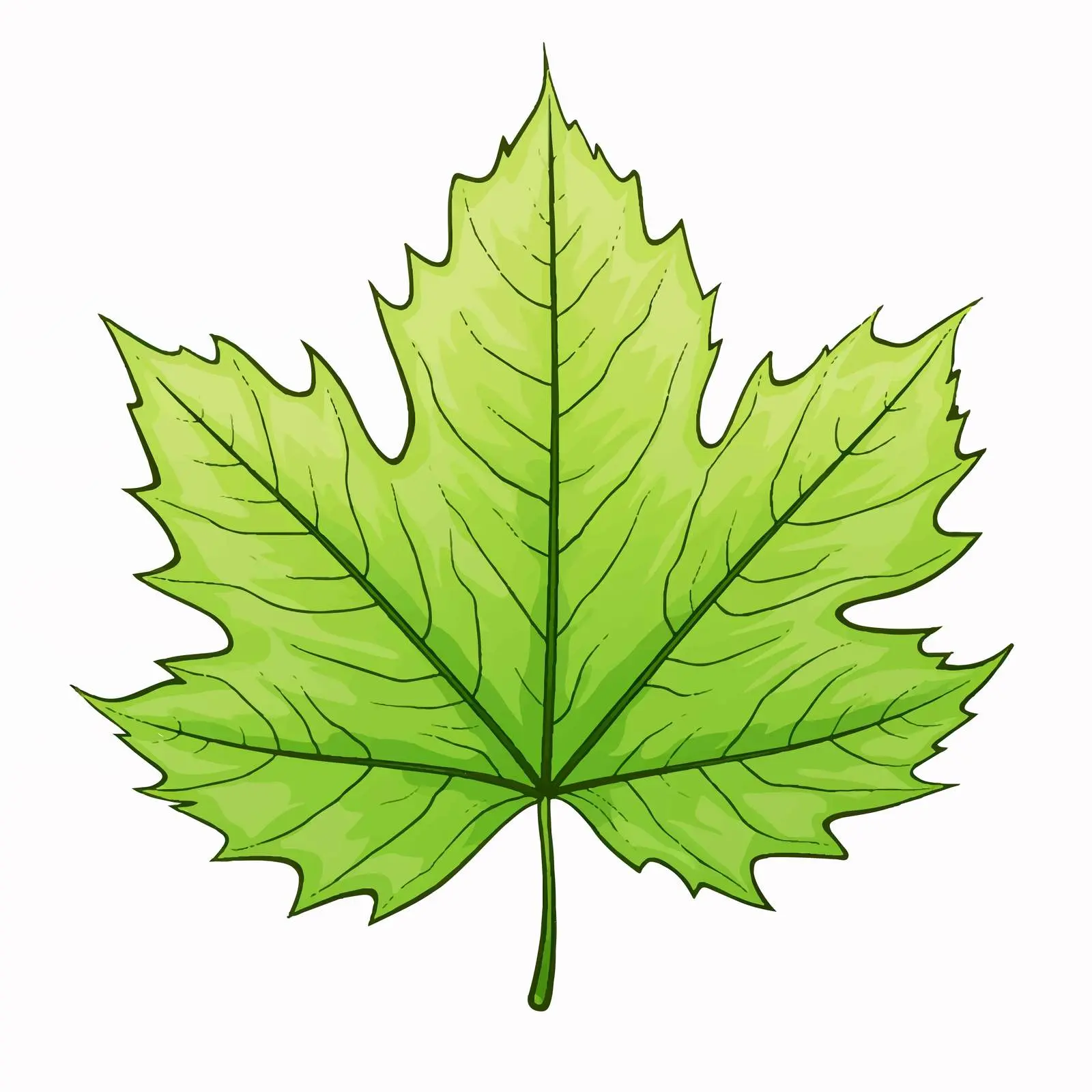 Cartoon Leaf Outline Illustration on White Background — free download from Dotvec