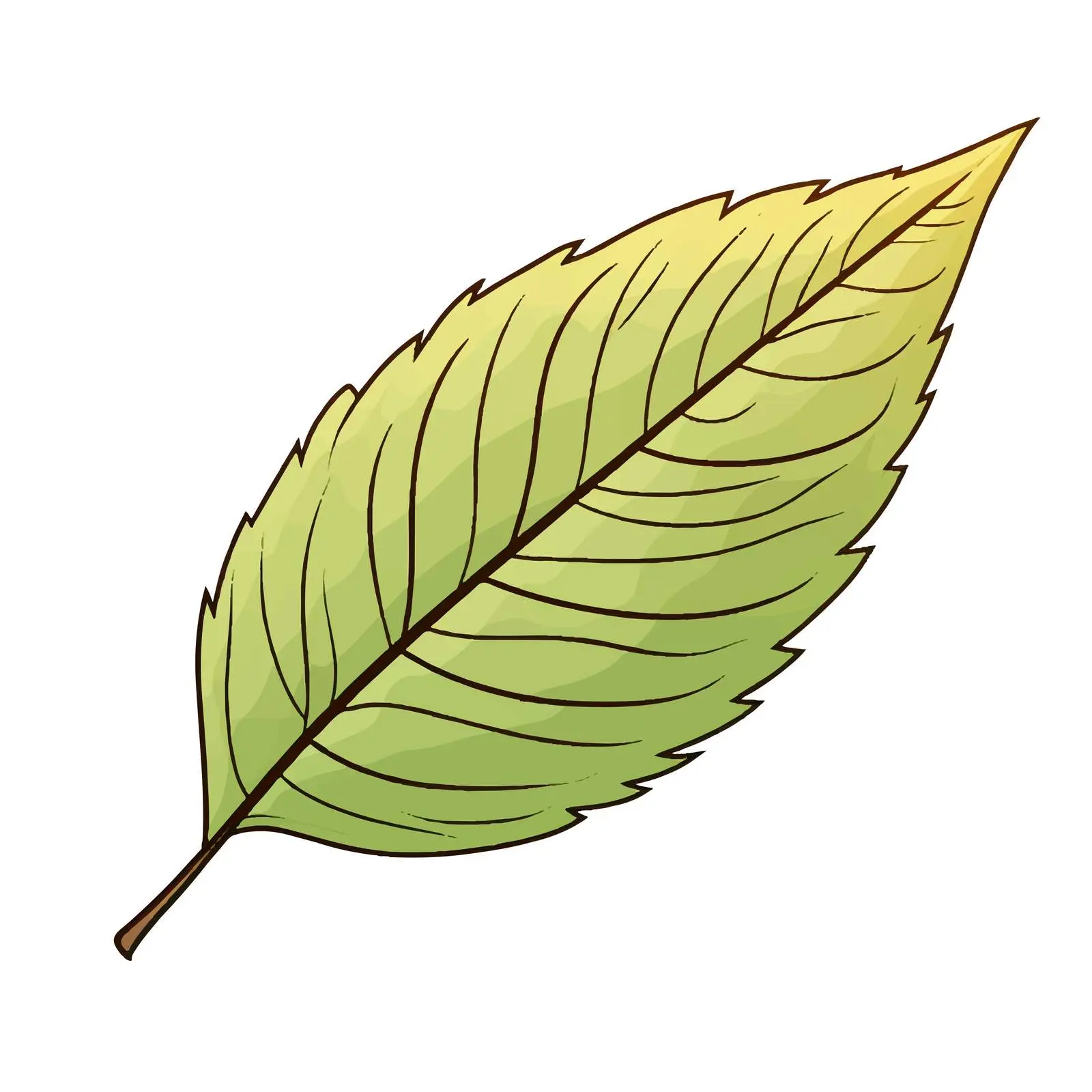 Cartoon Leaf Outline Illustration on White Background — free download from Dotvec