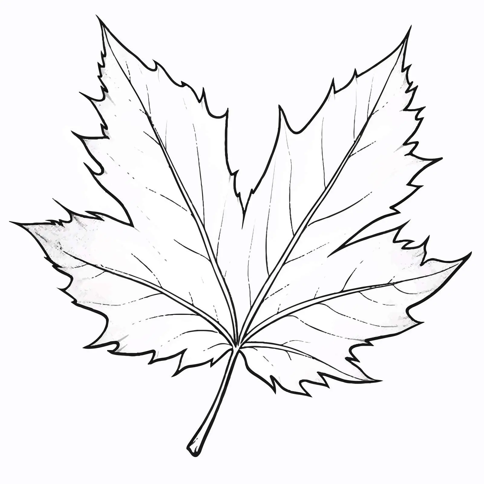 Cartoon Leaf Outline Illustration on White Background — free download from Dotvec