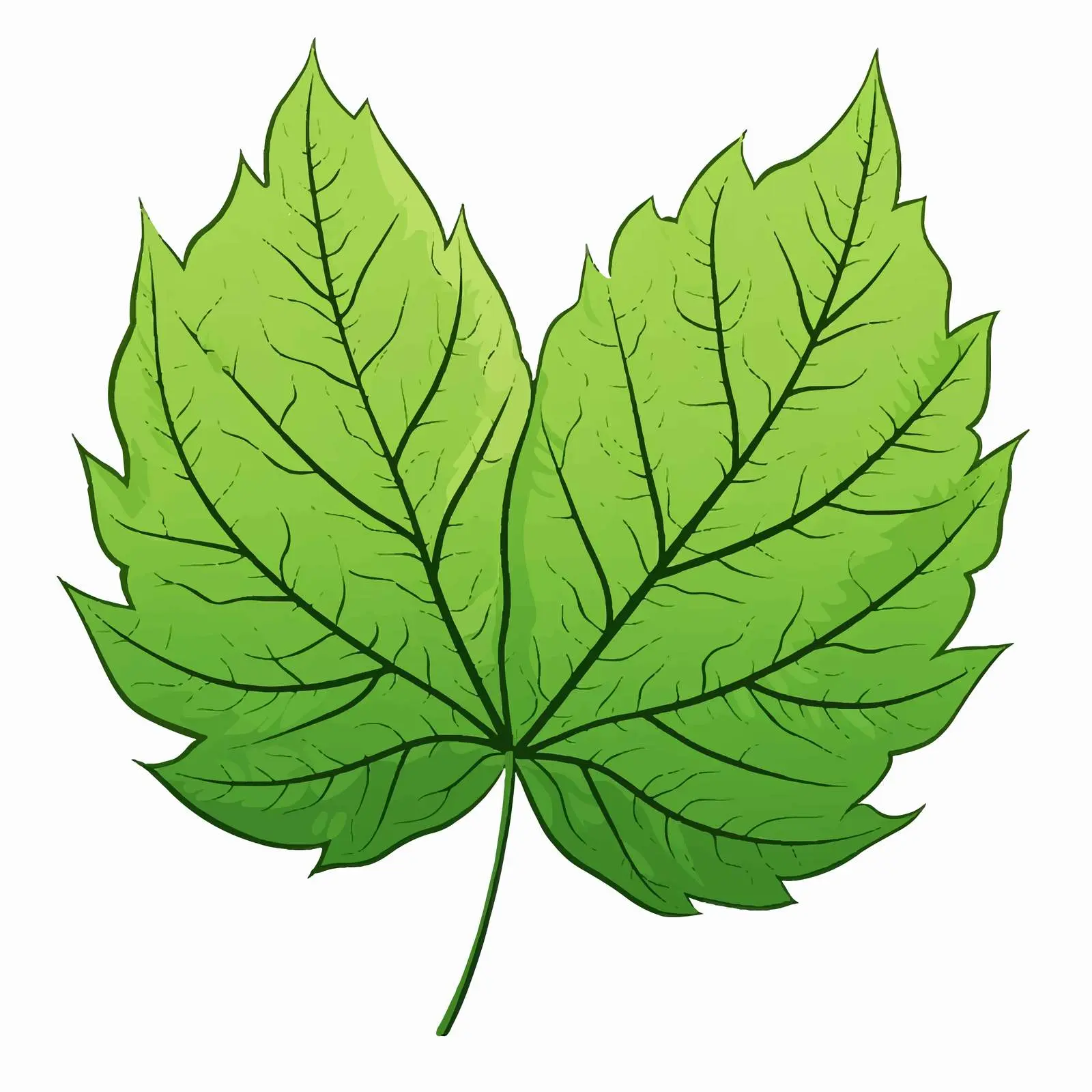 Leaf Outline Vector Illustration on White Background — free download from Dotvec