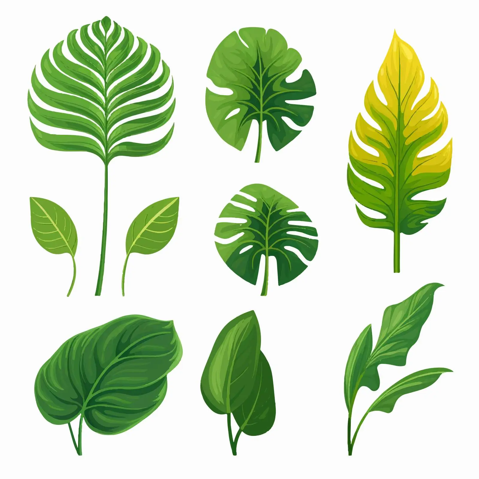 Exotic Tropical Green Plant with Big Leaves — free download from Dotvec