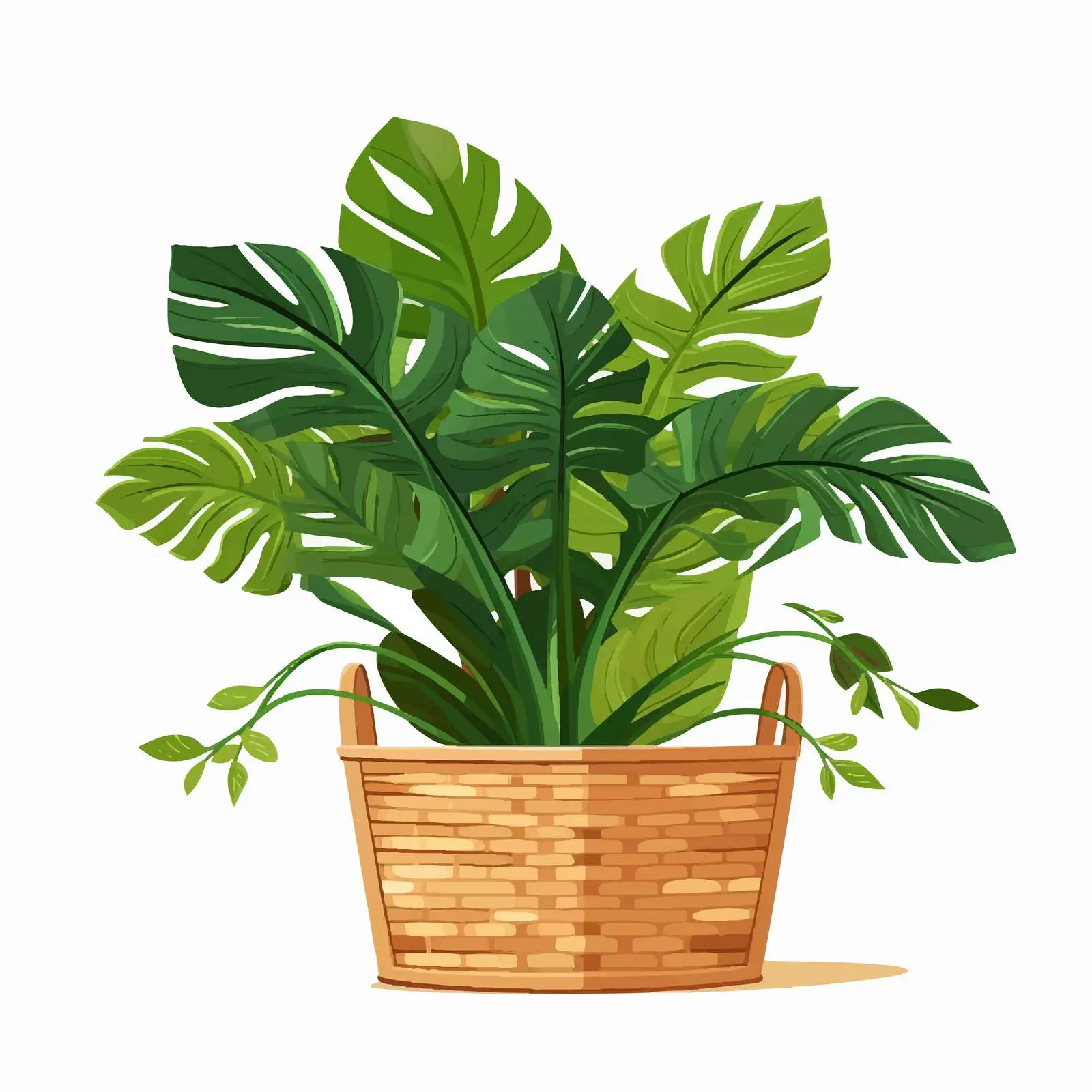 Houseplant Leaf in Decorative Basket — free download from Dotvec