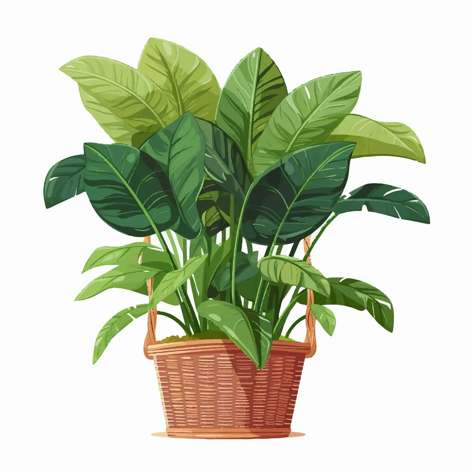 Leaf Plant in Basket with Tall Palm Stems — free download from Dotvec