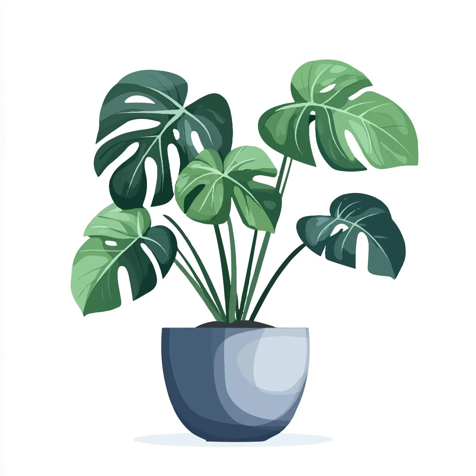 Foliage Houseplant Growing in Decorative Pot — free download from Dotvec