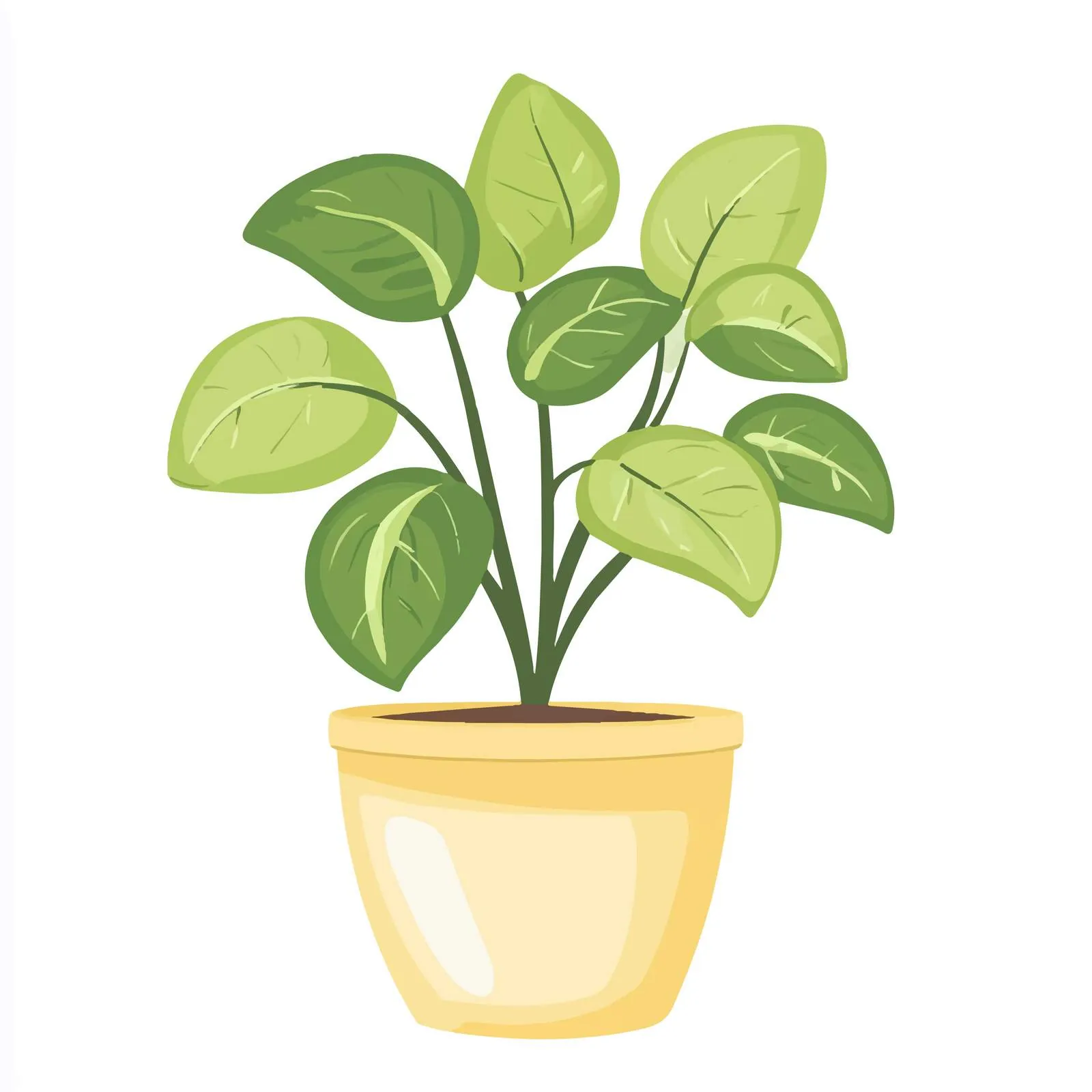 Foliage Houseplant Growing in Pot — free download from Dotvec