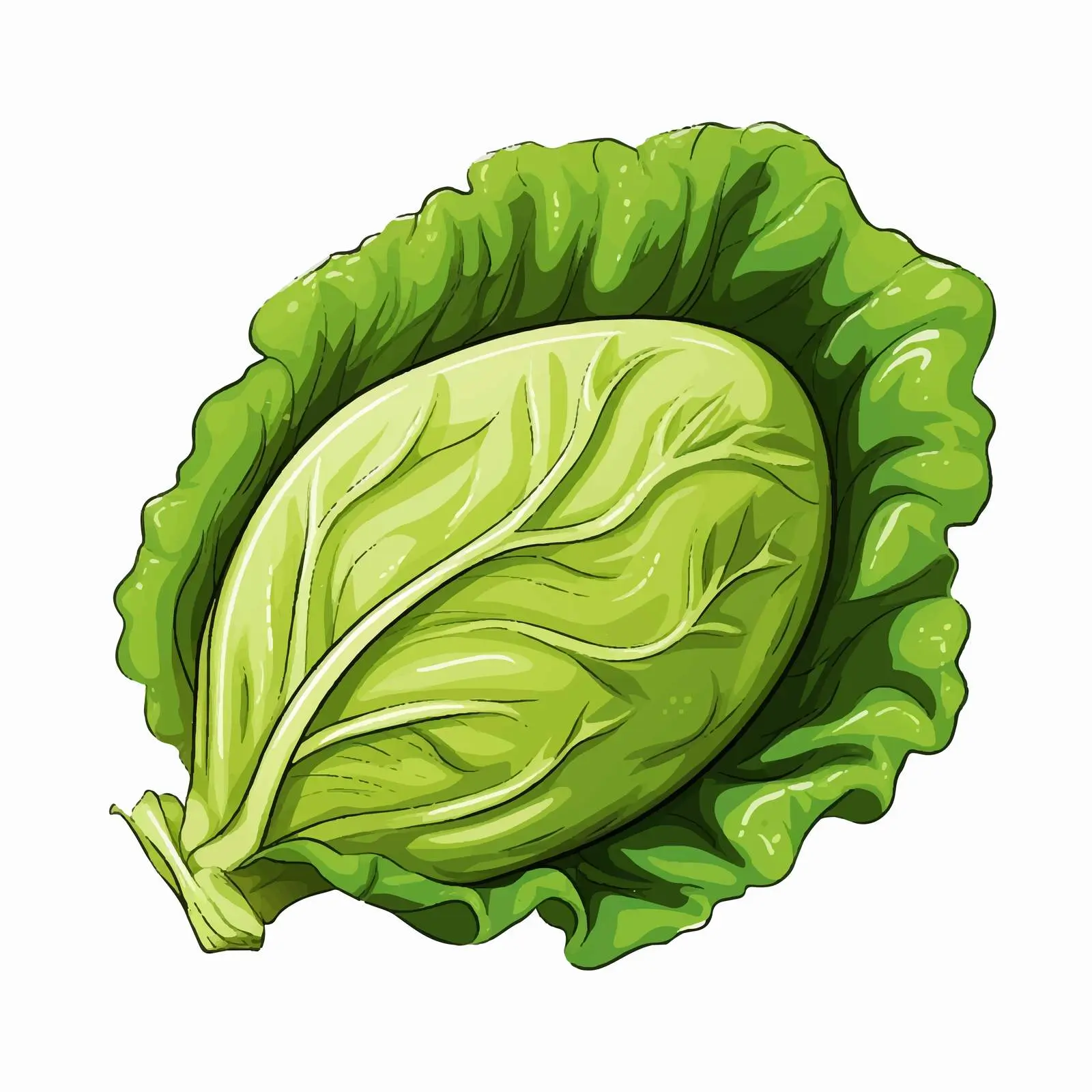 Lettuce Line Vector Illustration on White Background — free download from Dotvec
