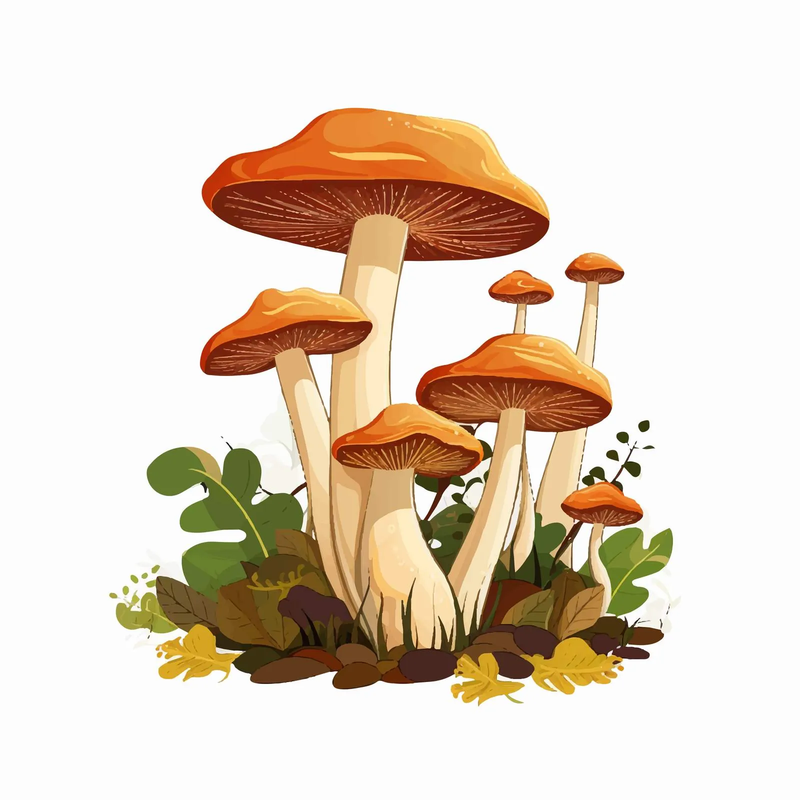 Liberty Cap Mushroom in Fall Forest — free download from Dotvec