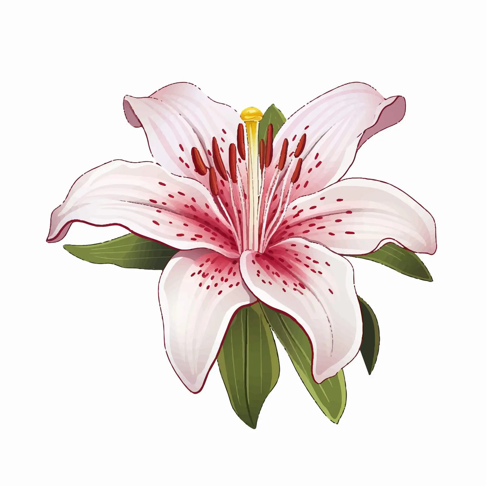 Lily Flower Line Art Vector Illustration — free download from Dotvec