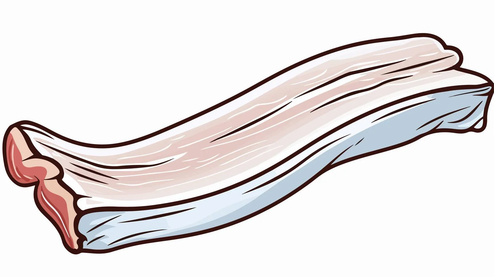 Cartoon Bacon Line Drawing Vector Illustration — free download from Dotvec