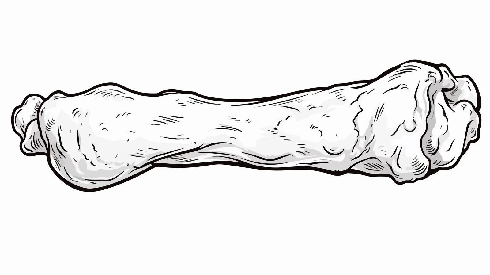 Cartoon Cooked Chicken Leg Vector Illustration — free download from Dotvec