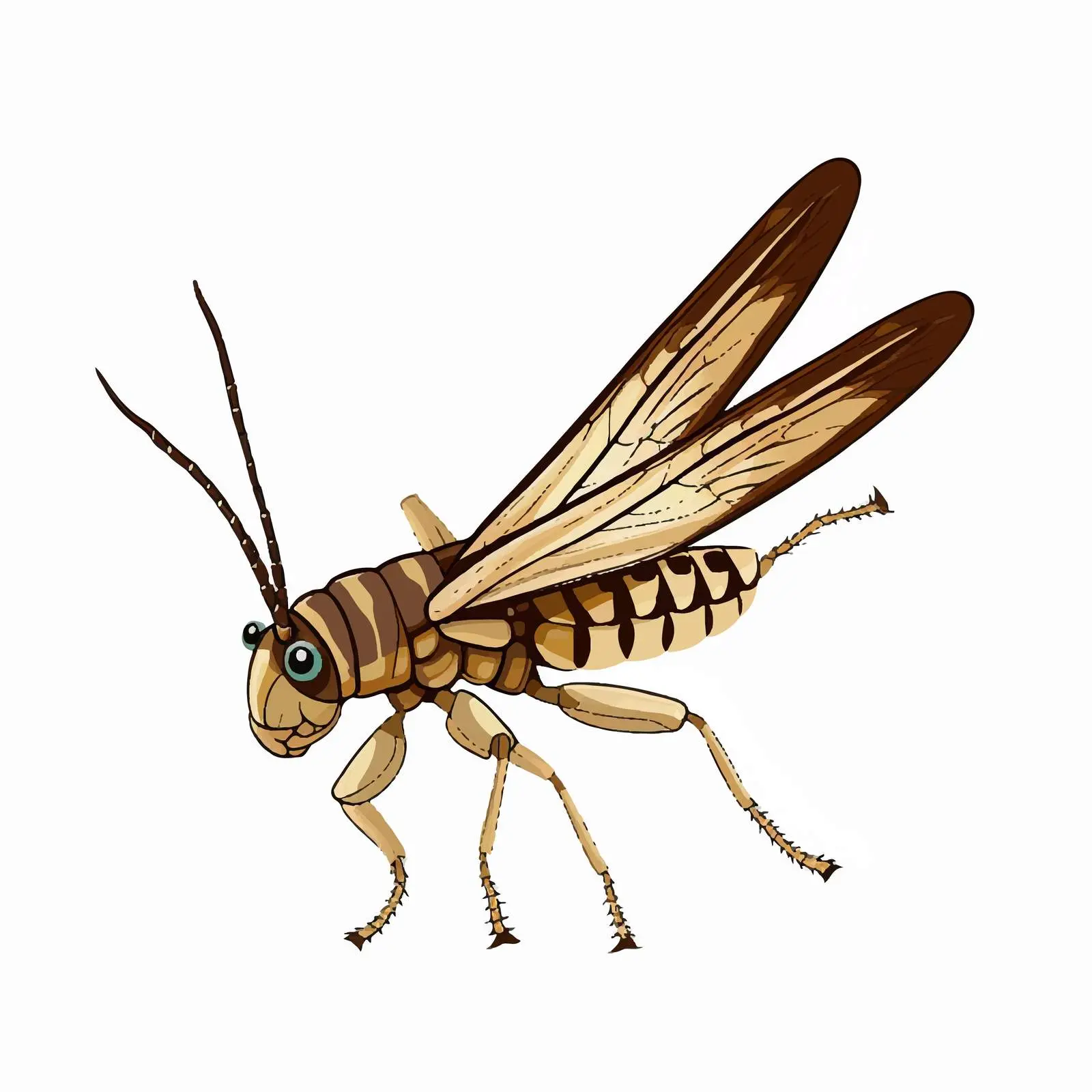 Isolated Locust Outline Vector Illustration — free download from Dotvec