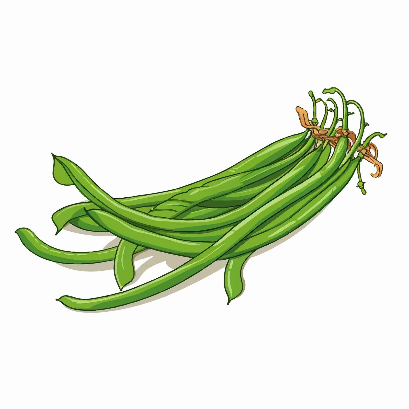 Cute Cartoon Long Beans Line Illustration — free download from Dotvec