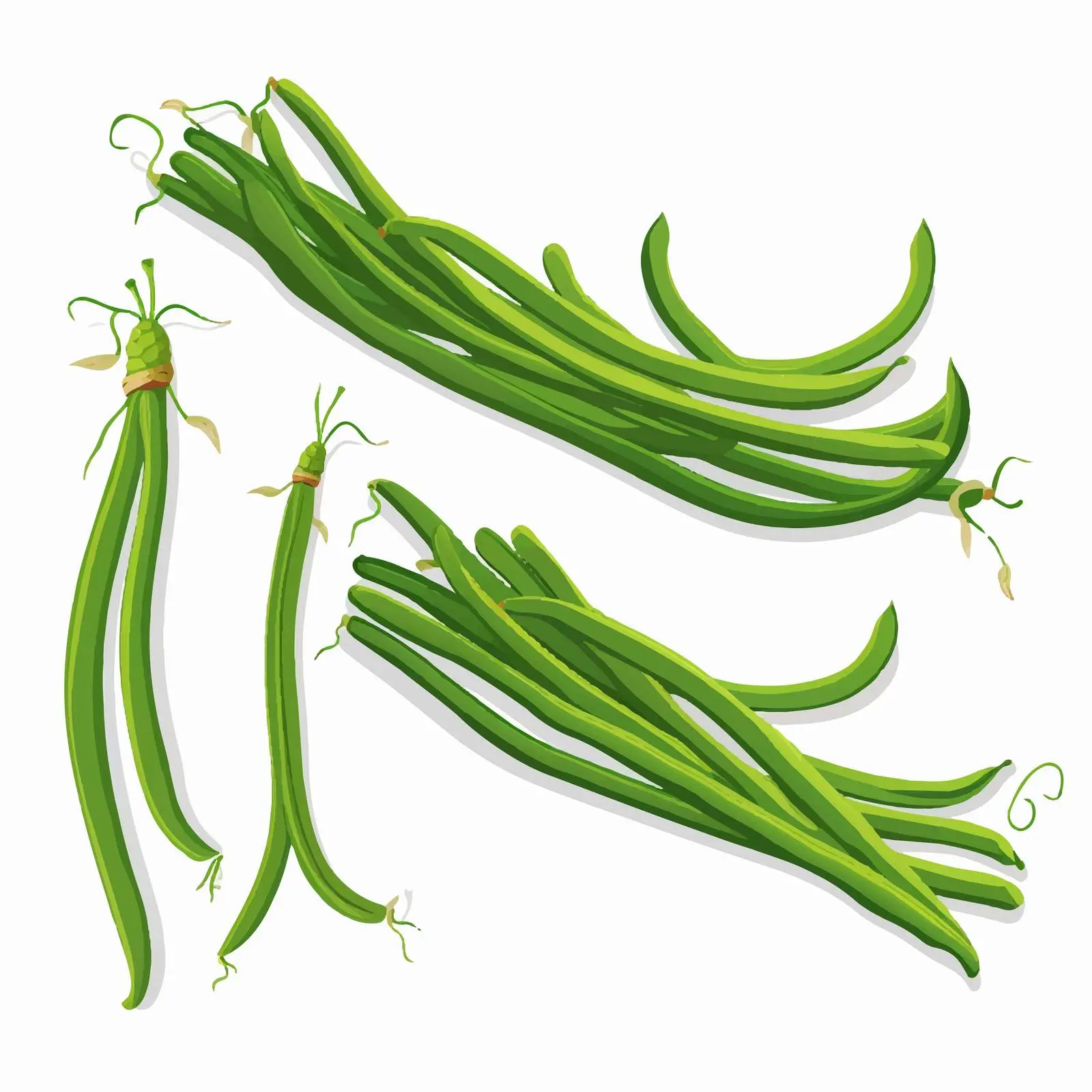 Cartoon Long Beans Vector Illustration — free download from Dotvec