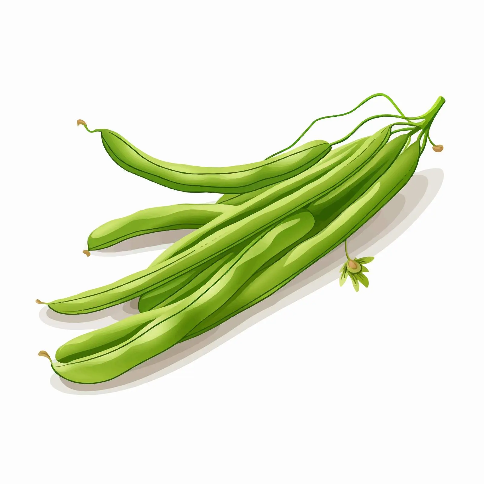 Cartoon Long Beans Vector Illustration — free download from Dotvec