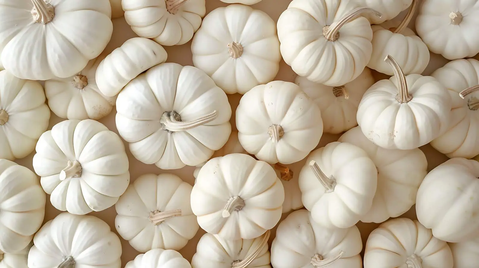 White Pumpkins Autumn Seasonal Pattern – free house decor image from Dotvec