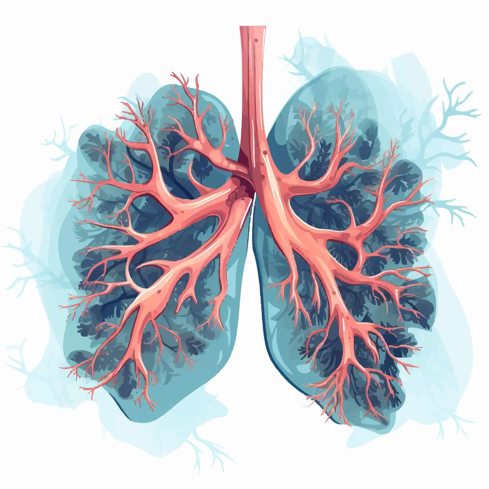 Illustration of Lung Infected with Tuberculosis – free lungs image from Dotvec