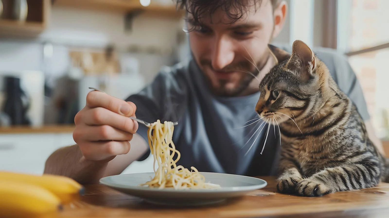 Freelancer shows noodles to cat — free download from Dotvec