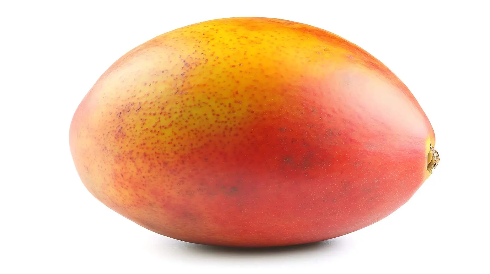 Mango Fruit on White Background — free download from Dotvec