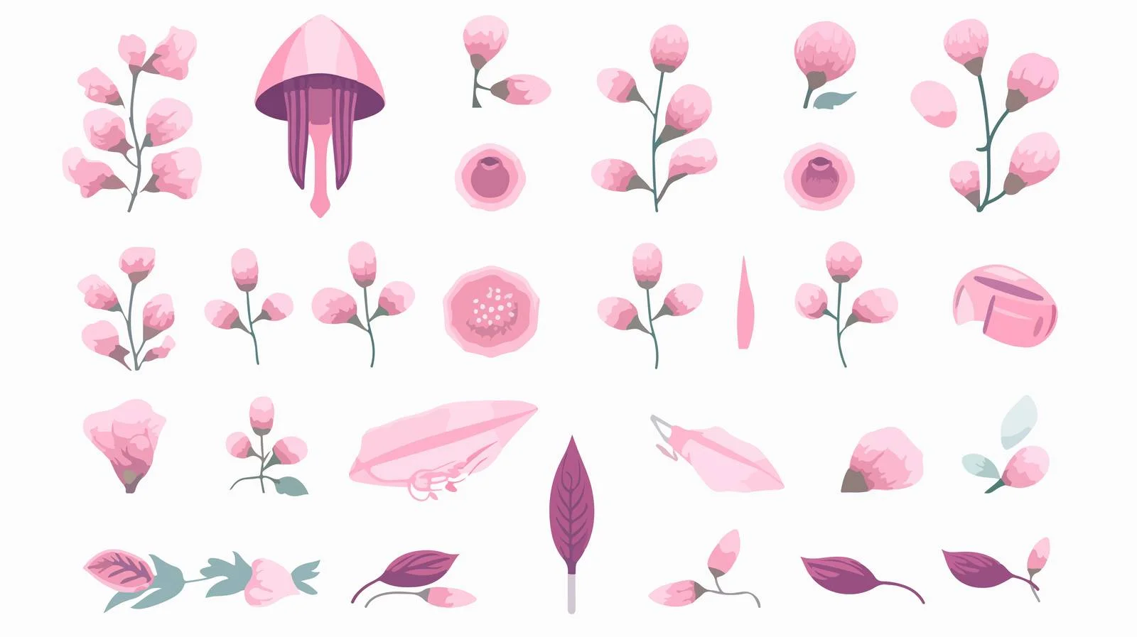 Understanding the Female Menstrual Cycle — free download from Dotvec