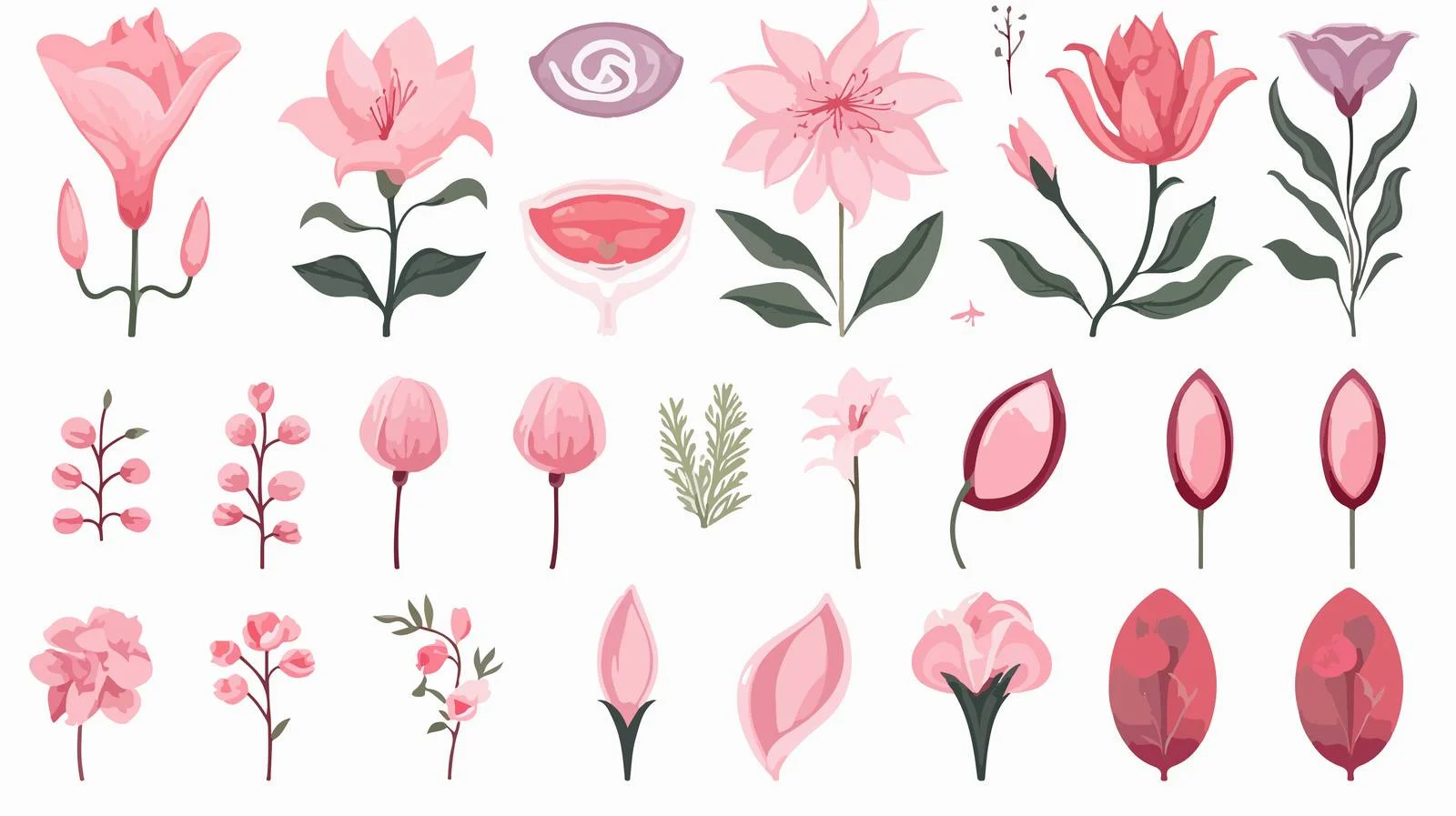 Understanding Menstruation and the Female Reproductive System — free download from Dotvec