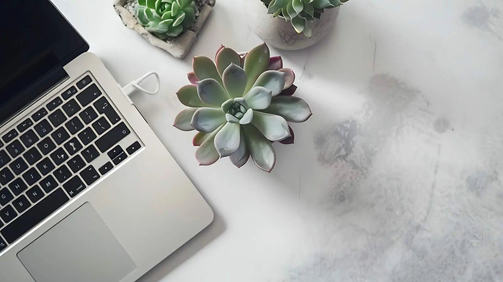 Minimal Business Setup with Laptop and Plants — free download from Dotvec