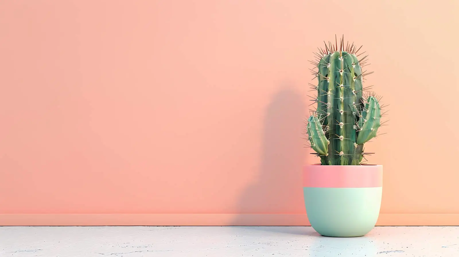 Minimal Modern Interior Design with Cactus – free minimalist home image from Dotvec