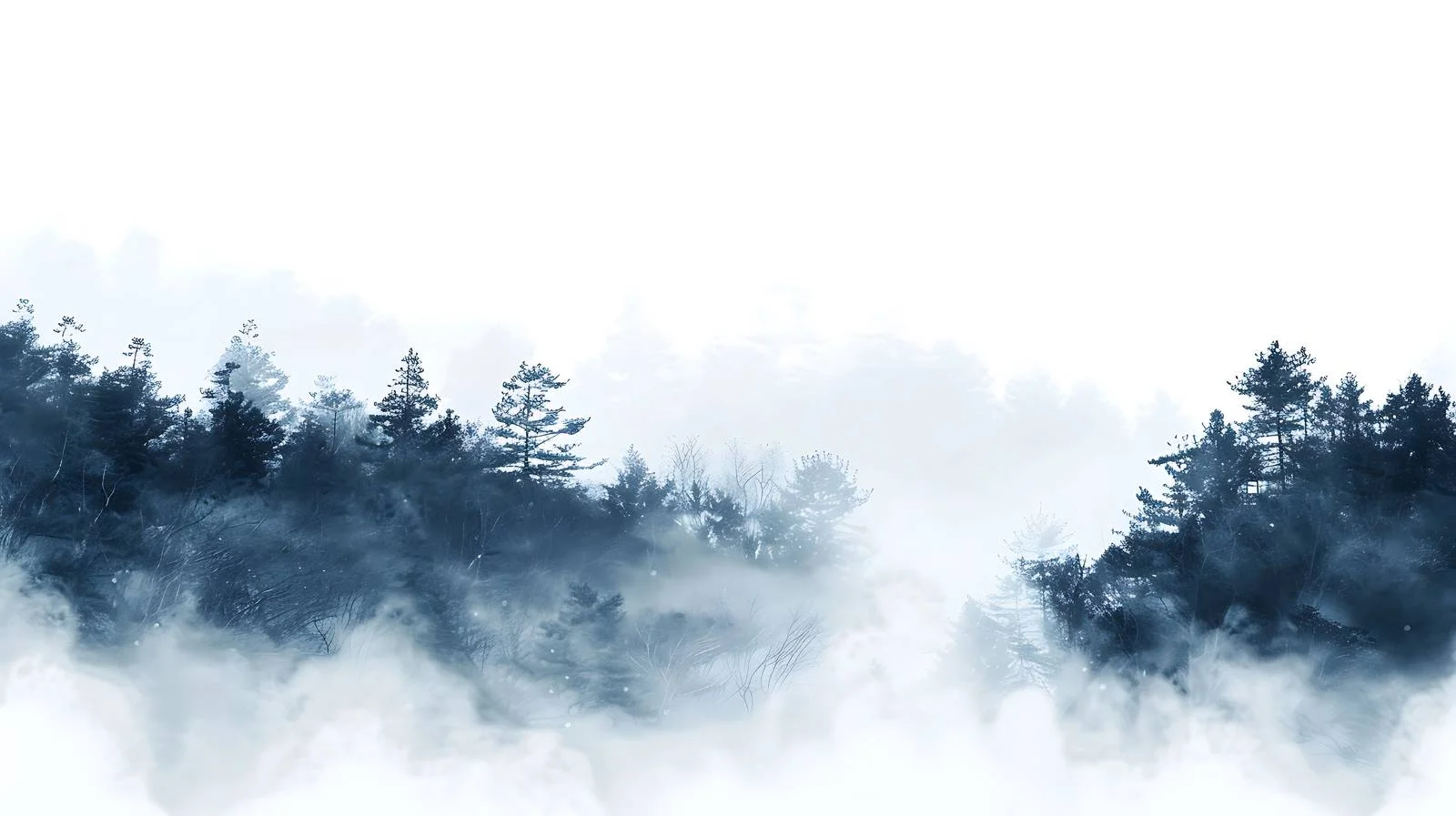 Serene Forest Mist in Bright Isolation — free download from Dotvec