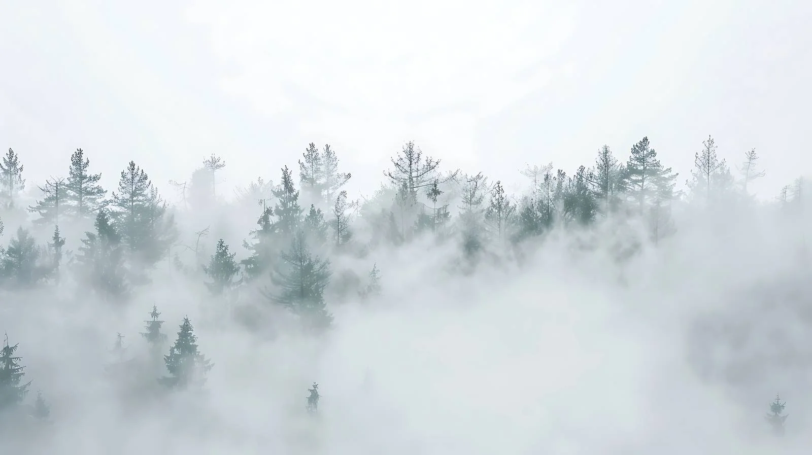 Serene Forest Morning Mist on White — free download from Dotvec
