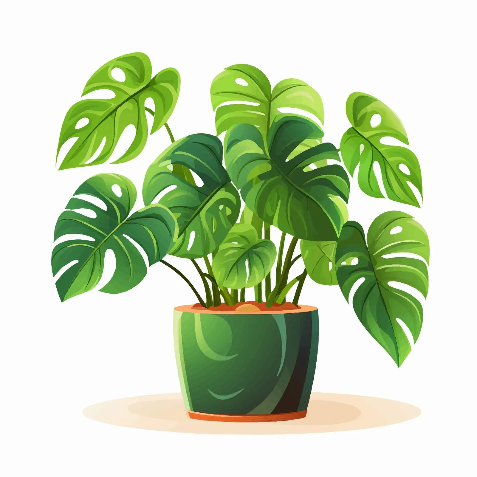 Monstera Plant Growing in Decorative Planter — free download from Dotvec