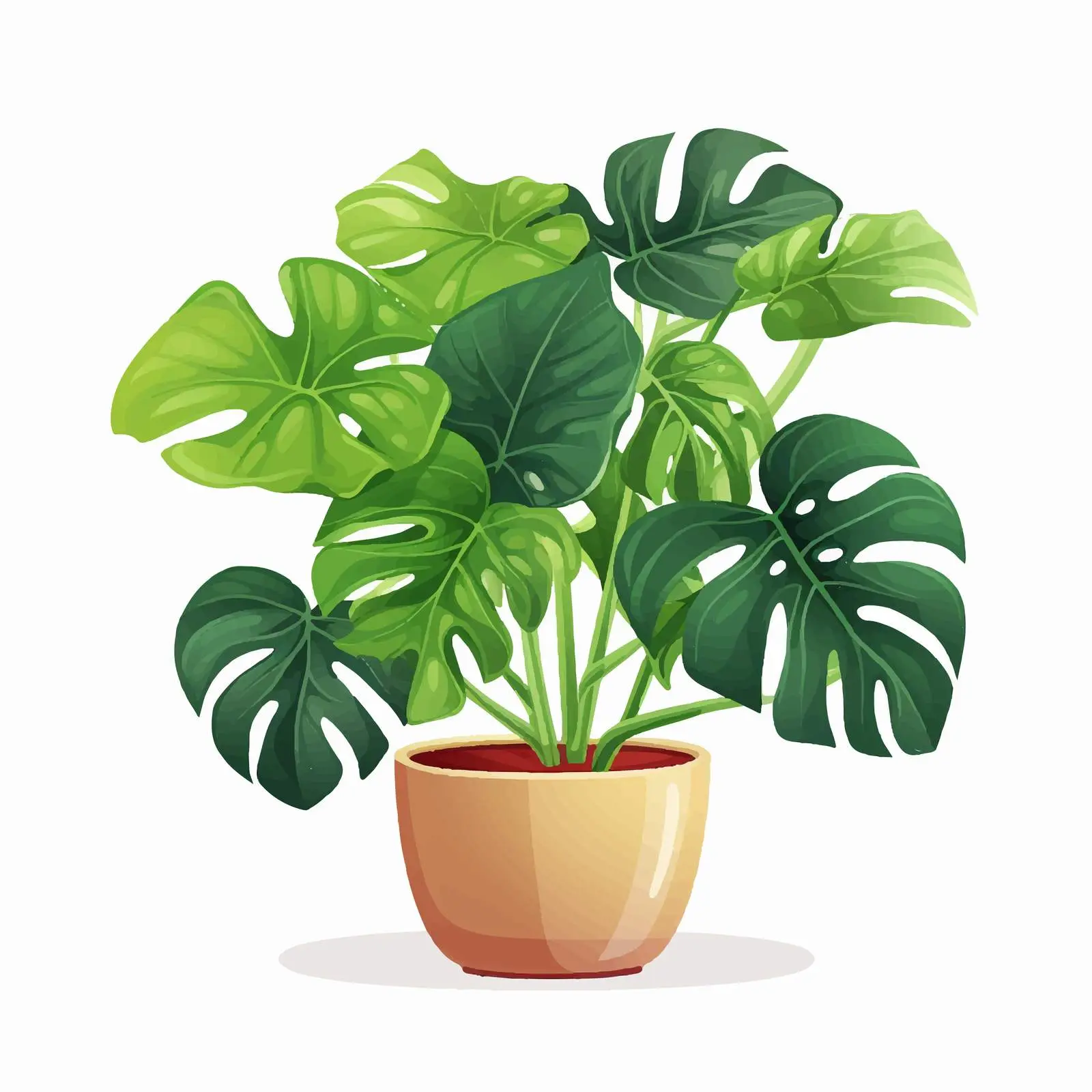 Monstera Plant in Decorative Planter – free ban image from Dotvec