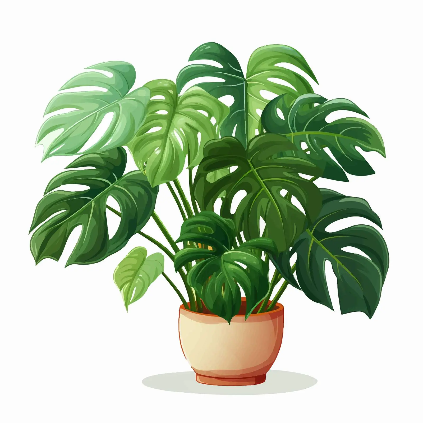 Monstera Plant in Elegant Planter — free download from Dotvec
