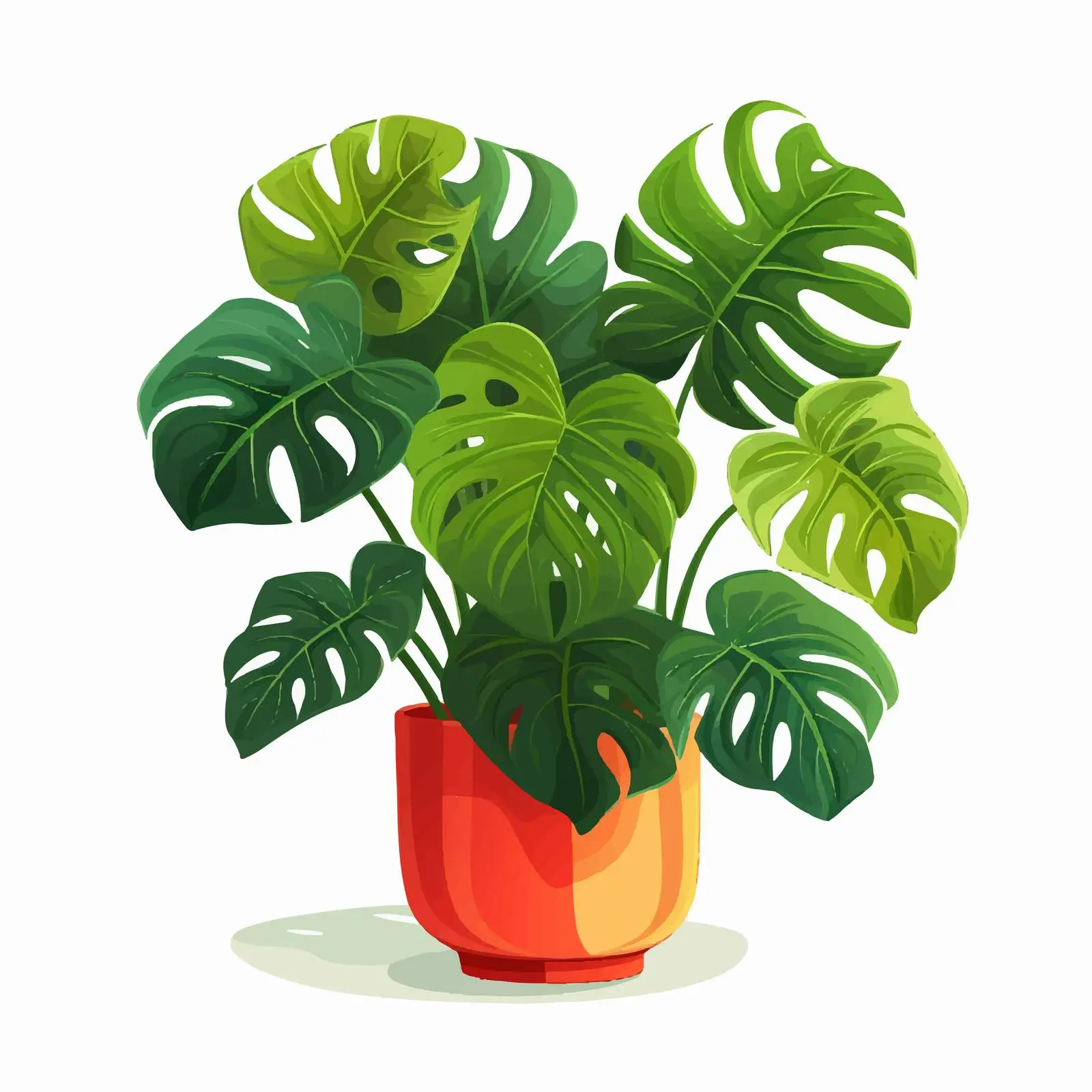 Monstera Plant in Contemporary Planter — free download from Dotvec