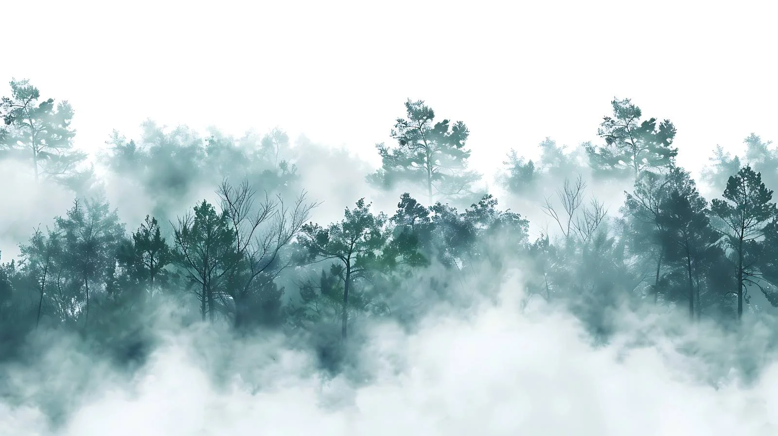 Serene Morning Mist Forest Clearing White — free download from Dotvec